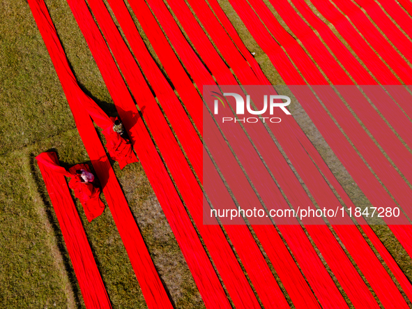 An aerial view shows people working in a field, stretching red cloth in Narsingdi, Dhaka, Bangladesh, on December 8, 2024. This fabric is co...