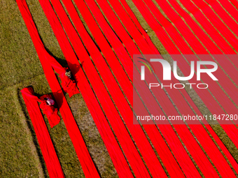 An aerial view shows people working in a field, stretching red cloth in Narsingdi, Dhaka, Bangladesh, on December 8, 2024. This fabric is co...