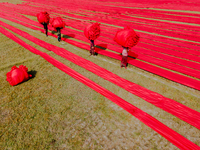 An aerial view shows people working in a field, stretching red cloth in Narsingdi, Dhaka, Bangladesh, on December 8, 2024. This fabric is co...