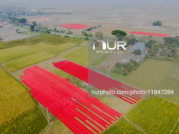 An aerial view shows hundreds of sheets of red Salu fabric as Bangladeshi workers spread them out to dry in Narsingdi, Dhaka, Bangladesh, on...