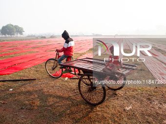 A young child sits on a rickshaw van while red textile strips dry in the sun, spread across an open field near Narsingdi, Dhaka, Bangladesh,...