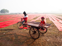 A young child sits on a rickshaw van while red textile strips dry in the sun, spread across an open field near Narsingdi, Dhaka, Bangladesh,...