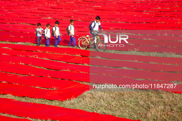 An aerial view shows school children walking along red long textile stripes spread out on a field near Narsingdi, Dhaka, Bangladesh, on Dece...