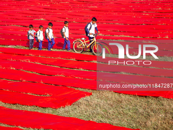 An aerial view shows school children walking along red long textile stripes spread out on a field near Narsingdi, Dhaka, Bangladesh, on Dece...