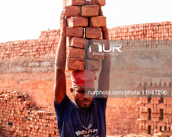 In Narsingdi, Dhaka, Bangladesh, on December 8, 2024, laborers carry piles of bricks weighing more than 15 kg on their heads in a brick kiln...