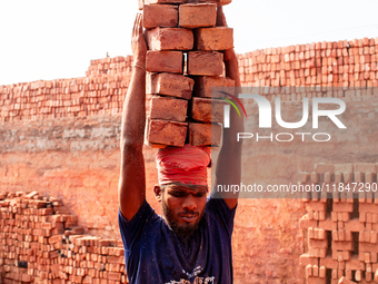 In Narsingdi, Dhaka, Bangladesh, on December 8, 2024, laborers carry piles of bricks weighing more than 15 kg on their heads in a brick kiln...