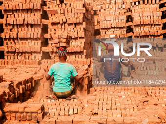 In Narsingdi, Dhaka, Bangladesh, on December 8, 2024, laborers carry piles of bricks weighing more than 15 kg on their heads in a brick kiln...