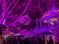 The Pink Christmas market at Stephansplatz in Munich, Bavaria, Germany, on December 8, 2024, lights up in its signature pink hues. Known as...