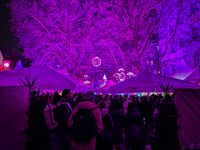 The Pink Christmas market at Stephansplatz in Munich, Bavaria, Germany, on December 8, 2024, lights up in its signature pink hues. Known as...