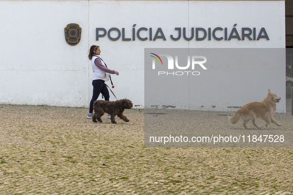 A person walks her dogs by the Judiciary Police Headquarters in Lisbon, Portugal, on December 8, 2024. The Judiciary Police (PJ) carry out a...