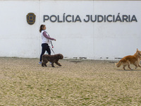 A person walks her dogs by the Judiciary Police Headquarters in Lisbon, Portugal, on December 8, 2024. The Judiciary Police (PJ) carry out a...