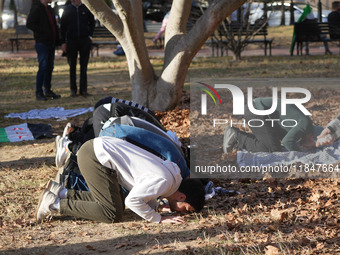 Syrian opposition supporters gather in Lafayette Park next to the White House to celebrate the fall of Bashar al-Assad on December 8, 2024 (