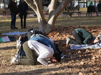 Syrian opposition supporters gather in Lafayette Park next to the White House to celebrate the fall of Bashar al-Assad on December 8, 2024 (