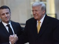 France's President Emmanuel Macron welcomes the United States President-elect Donald Trump before the bilateral talks in Paris, France, on D...