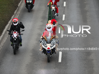 In Krakow, Poland, on December 8, 2024, motorcyclists in Santa costumes ride through the streets of the city to the University Children's Ho...