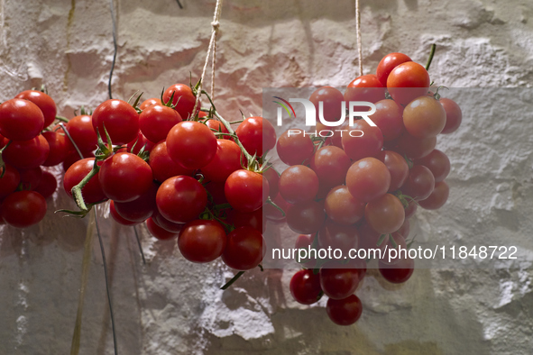 A cluster of red tomatoes hangs on a white stone wall in Locorotondo, Italy, on December 7, 2024, symbolizing the agricultural tradition of...