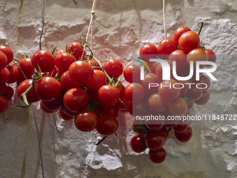 A cluster of red tomatoes hangs on a white stone wall in Locorotondo, Italy, on December 7, 2024, symbolizing the agricultural tradition of...