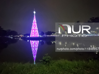 People admire the Ibirapuera Christmas tree in Sao Paulo, Brazil, on December 8, 2024. The tree's steel structure measures 18.5 meters in di...