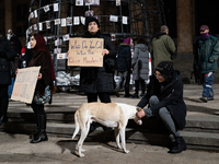 Dogs are always present while the anti-government protesters rally outside the parliament for an eleventh consecutive day of mass demonstrat...