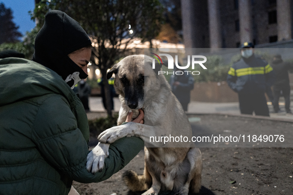 Dogs are always present while the anti-government protesters rally outside the parliament for an eleventh consecutive day of mass demonstrat...