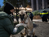 Dogs are always present while the anti-government protesters rally outside the parliament for an eleventh consecutive day of mass demonstrat...