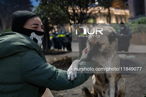 Dogs are always present while the anti-government protesters rally outside the parliament for an eleventh consecutive day of mass demonstrat...