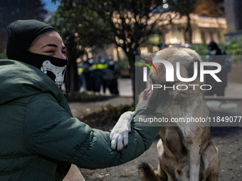 Dogs are always present while the anti-government protesters rally outside the parliament for an eleventh consecutive day of mass demonstrat...