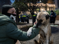 Dogs are always present while the anti-government protesters rally outside the parliament for an eleventh consecutive day of mass demonstrat...