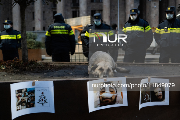 Dogs are always present while the anti-government protesters rally outside the parliament for an eleventh consecutive day of mass demonstrat...