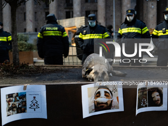 Dogs are always present while the anti-government protesters rally outside the parliament for an eleventh consecutive day of mass demonstrat...