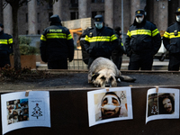 Dogs are always present while the anti-government protesters rally outside the parliament for an eleventh consecutive day of mass demonstrat...