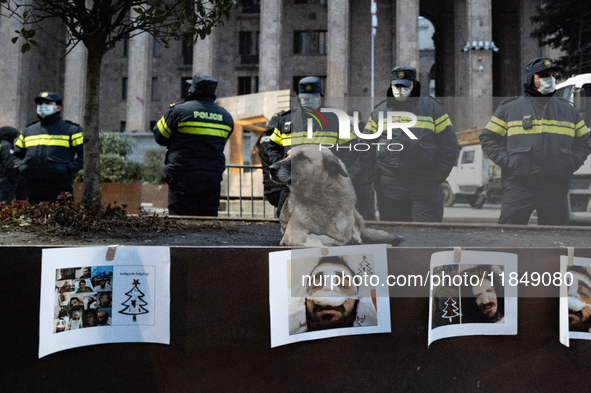 Dogs are always present while the anti-government protesters rally outside the parliament for an eleventh consecutive day of mass demonstrat...