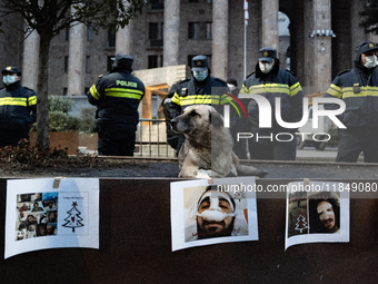 Dogs are always present while the anti-government protesters rally outside the parliament for an eleventh consecutive day of mass demonstrat...