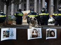 Dogs are always present while the anti-government protesters rally outside the parliament for an eleventh consecutive day of mass demonstrat...