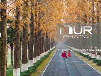 Tourists visit the Yellow Sea National Forest Park in Dongtai, China, on December 8, 2024. (