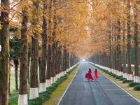 Tourists visit the Yellow Sea National Forest Park in Dongtai, China, on December 8, 2024. (