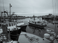 A ''long-liner'' fishing boat that seeks swordfish leaves Scituate Harbor early in the morning after a fresh snow. (