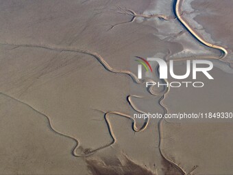 A tidal tree in the shape of a dragon tail is seen on the Yellow Sea wetland in Yancheng, China, on December 8, 2024. (