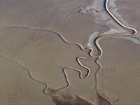 A tidal tree in the shape of a dragon tail is seen on the Yellow Sea wetland in Yancheng, China, on December 8, 2024. (