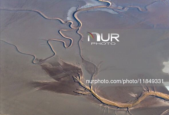 A tidal tree in the shape of a dragon tail is seen on the Yellow Sea wetland in Yancheng, China, on December 8, 2024. 