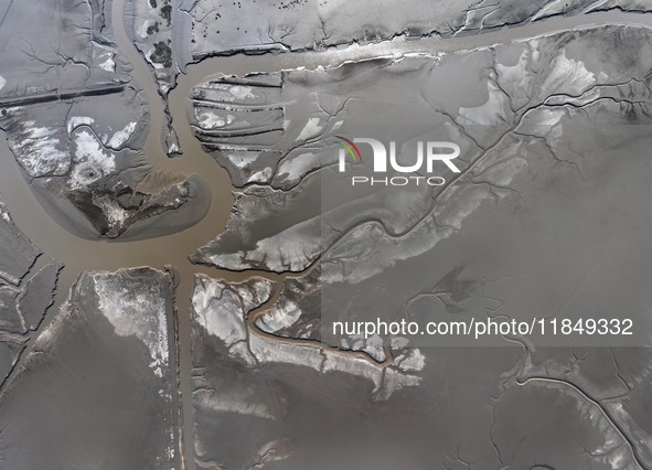 A tidal tree in the shape of a dragon tail is seen on the Yellow Sea wetland in Yancheng, China, on December 8, 2024. 