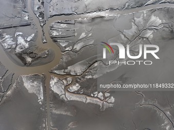 A tidal tree in the shape of a dragon tail is seen on the Yellow Sea wetland in Yancheng, China, on December 8, 2024. (