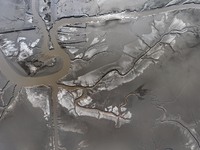 A tidal tree in the shape of a dragon tail is seen on the Yellow Sea wetland in Yancheng, China, on December 8, 2024. (