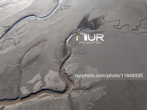 A tidal tree in the shape of a dragon tail is seen on the Yellow Sea wetland in Yancheng, China, on December 8, 2024. 