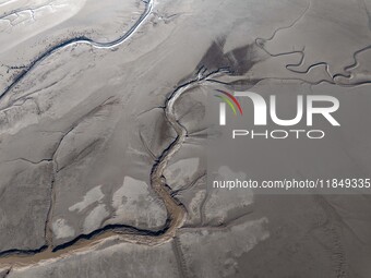 A tidal tree in the shape of a dragon tail is seen on the Yellow Sea wetland in Yancheng, China, on December 8, 2024. (