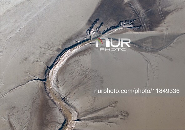 A tidal tree in the shape of a dragon tail is seen on the Yellow Sea wetland in Yancheng, China, on December 8, 2024. 