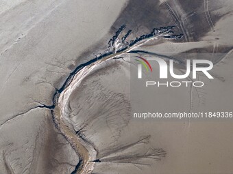 A tidal tree in the shape of a dragon tail is seen on the Yellow Sea wetland in Yancheng, China, on December 8, 2024. (