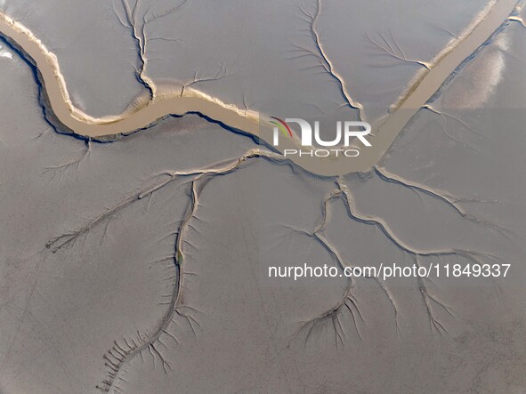 A tidal tree in the shape of a dragon tail is seen on the Yellow Sea wetland in Yancheng, China, on December 8, 2024. 