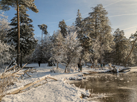 People enjoy a cold winter day at Lakes Osterseen in Iffeldorf, Bavaria, Germany, on January 14, 2024. Osterseen is a group of lakes in Bava...