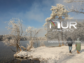 People enjoy a cold winter day at Lakes Osterseen in Iffeldorf, Bavaria, Germany, on January 14, 2024. Osterseen is a group of lakes in Bava...